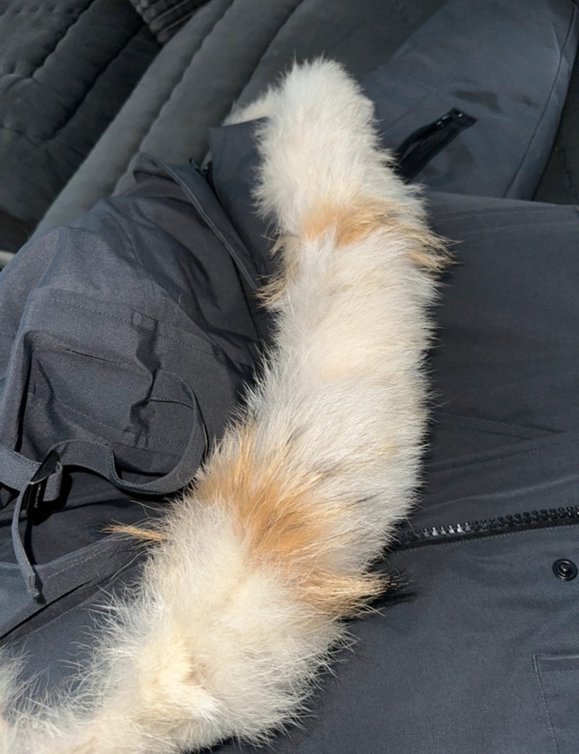 Canada goose jas, Ophalen of Verzenden, Zo goed als nieuw
