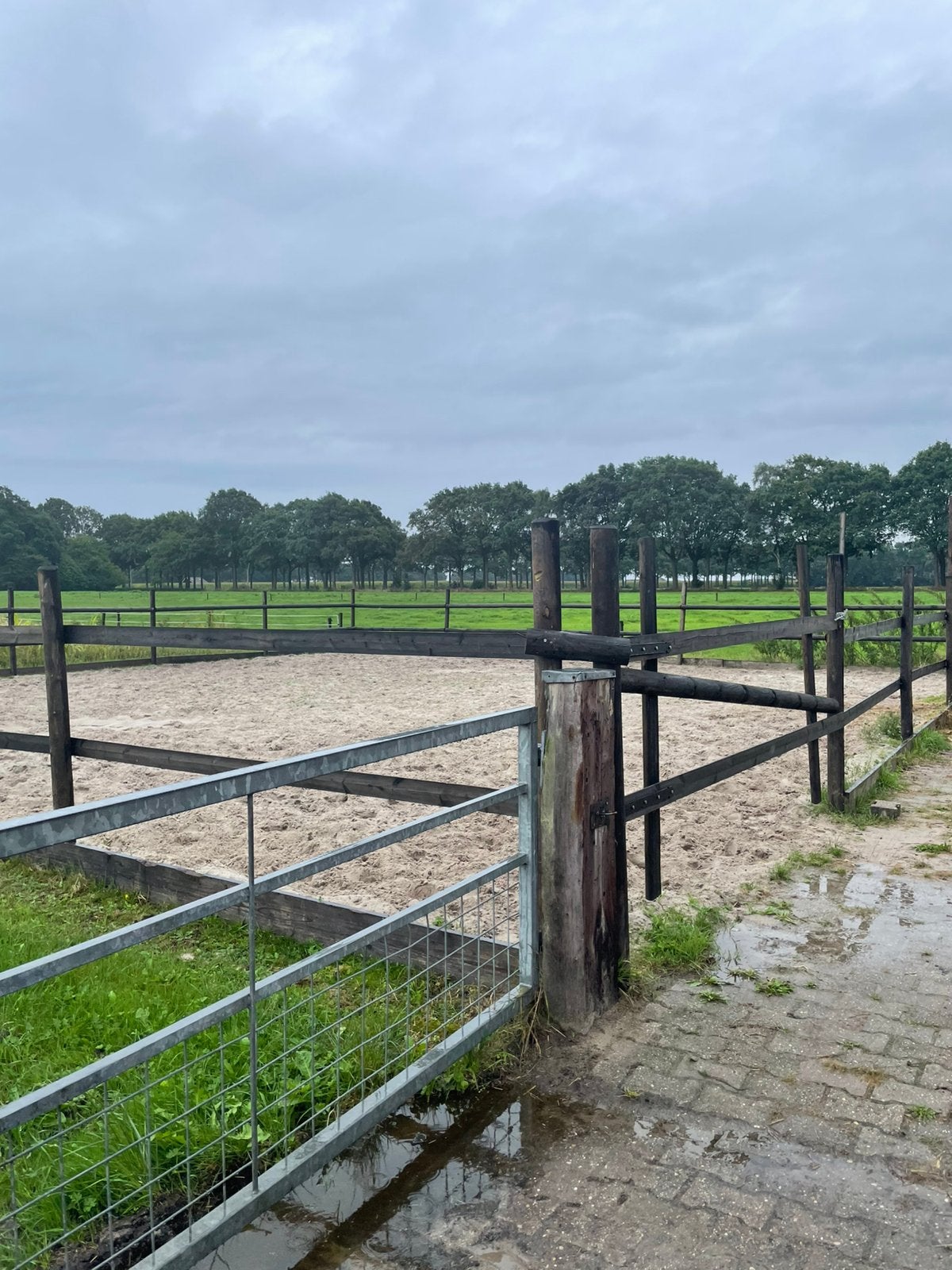 Paardenbak/paddock omheining, Dieren en Toebehoren