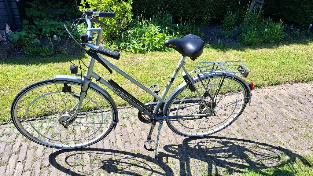Raleigh damesfiets tyoe Nova, Gebruikt, 47 tot 50 cm, Trommelrem, Ophalen