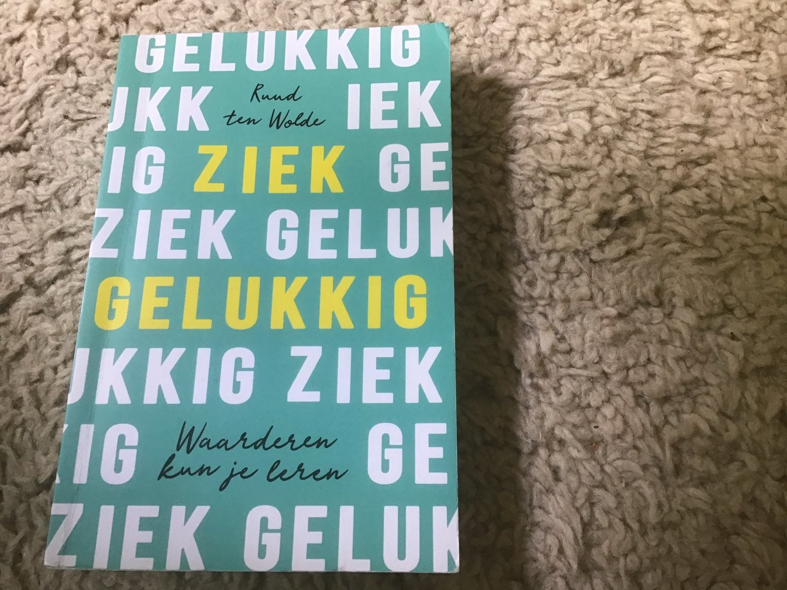 Gelukkig Ziek: Waarderen kun je leren - Ruud ten Wolde giro5, Boeken, Gezondheid, Dieet en Voeding, Ophalen of Verzenden, Zo goed als nieuw