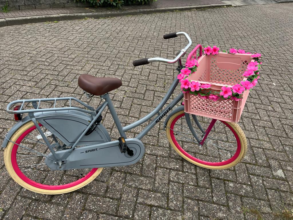 Popal Spirit cargofiets 24 inch met roze kratje, Ophalen, Gebruikt, Terugtraprem, 24 inch