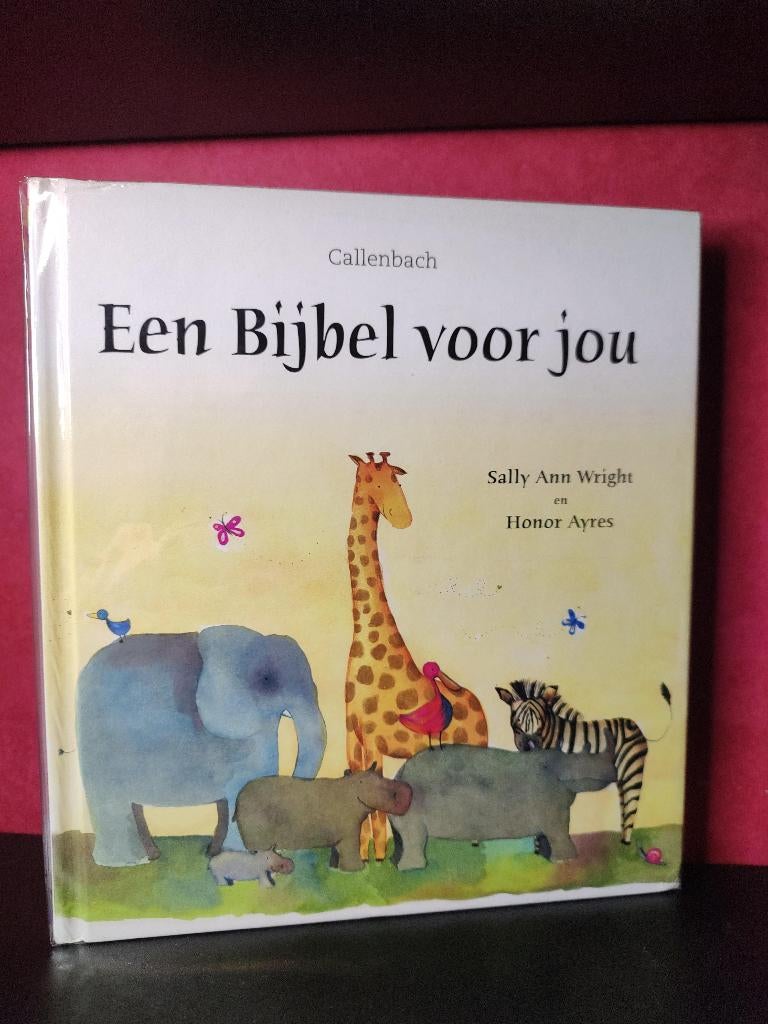 EEN BIJBEL VOOR JOU / Kinderbijbel, Verzenden, Zo goed als nieuw, Christendom | Katholiek