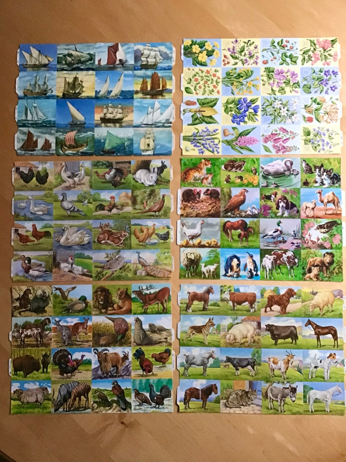 6 Vintage vellen MLP Poezieplaatjes - Nieuwstaat, Verzamelen, Ophalen of Verzenden