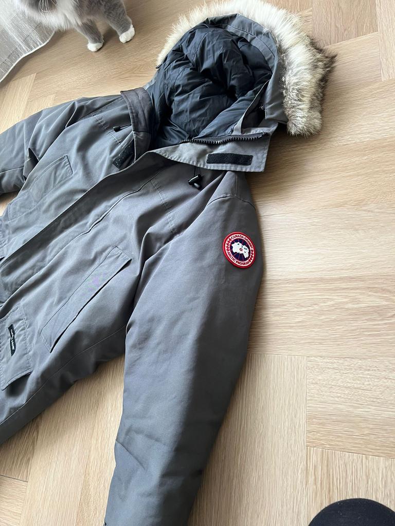 Originele Canada Goose jas - Gebruikt, zie foto's, Ophalen, Gedragen, Maat 48/50 (M), Grijs