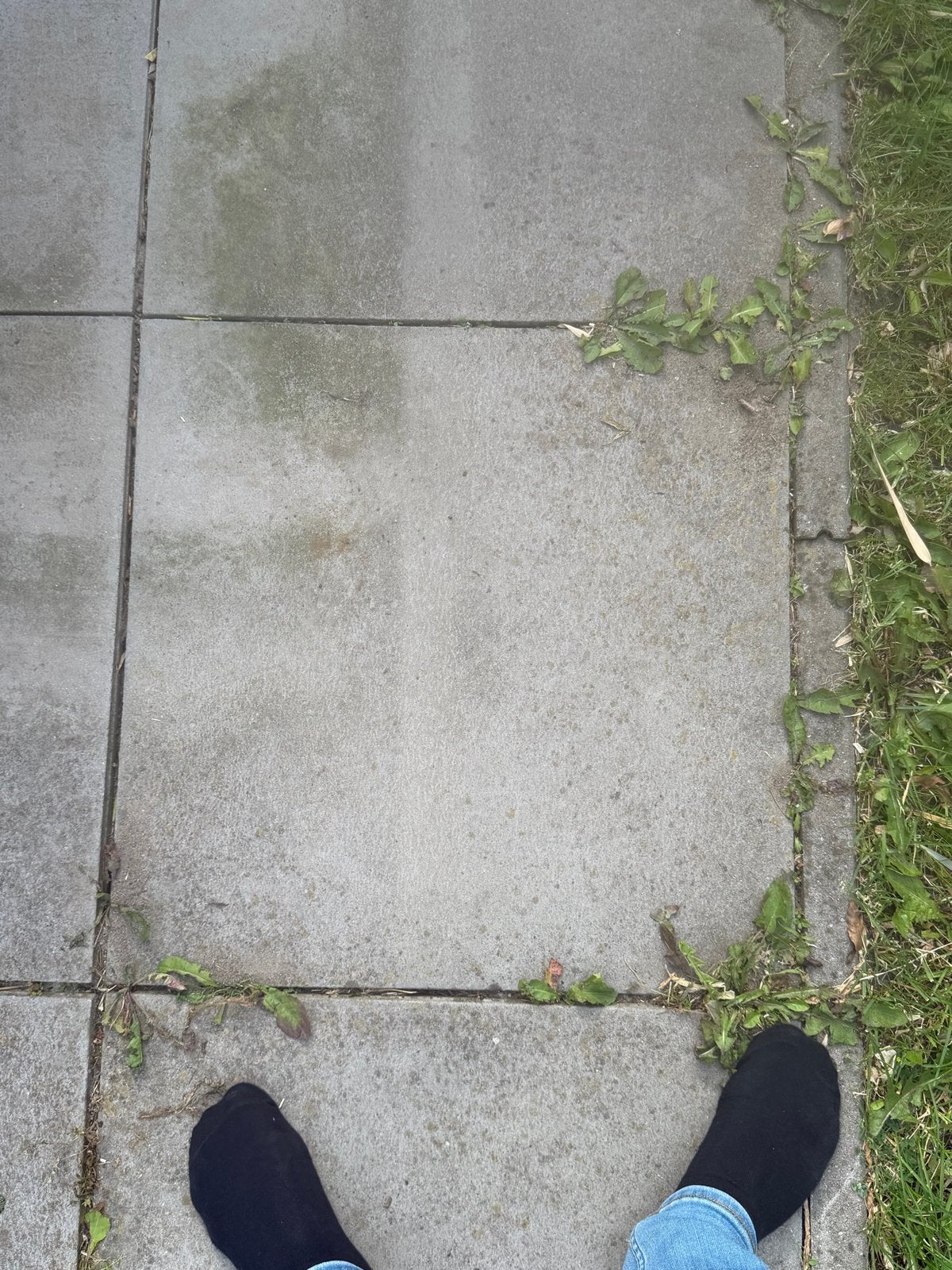 36 gebruikte terrastegels 60x60 cm - gratis af te halen, Tuin en Terras, Ophalen, Gebruikt, 10 m² of meer, Beton