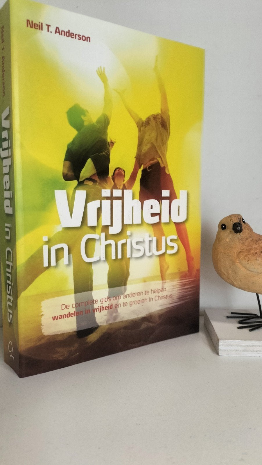 Anderson, Neil T.; Vrijheid in Christus, Boeken, Ophalen of Verzenden, Gelezen, Christendom | Protestants