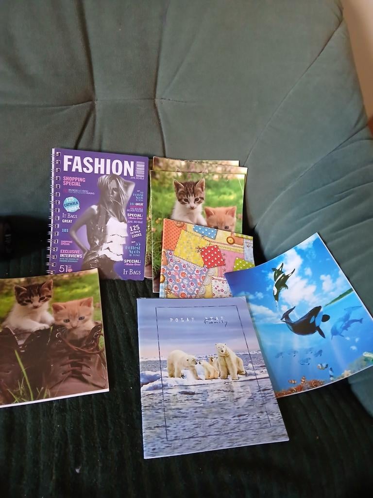 Diverse schriften, Ophalen