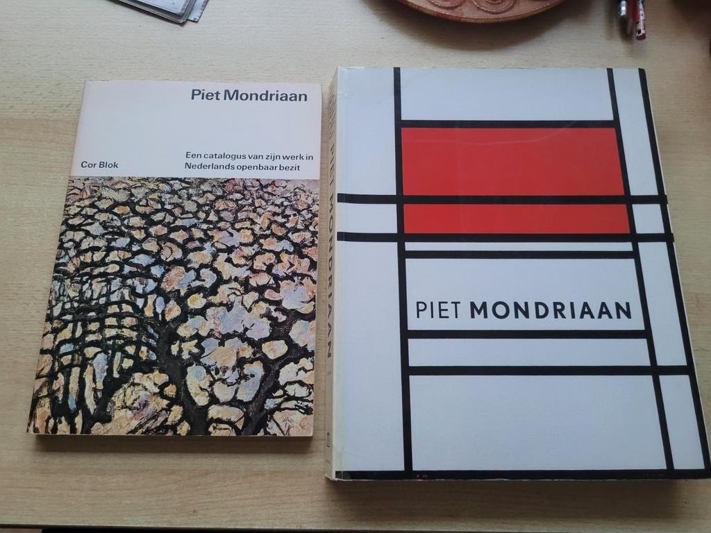 Mondriaan boeken, Ophalen of Verzenden, Zo goed als nieuw
