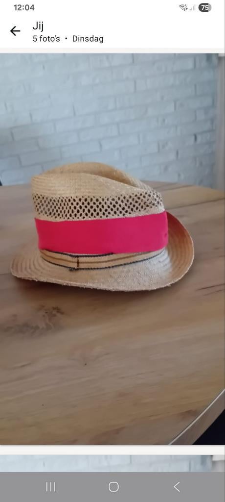 Hoeden, Ophalen, Zo goed als nieuw, Carnaval