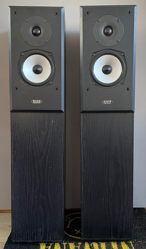 Acoustic Energy Aegis Two Speakers, Audio, Tv en Foto, Luidsprekers, Gebruikt, 120 watt of meer, Front, Rear of Stereo speakers