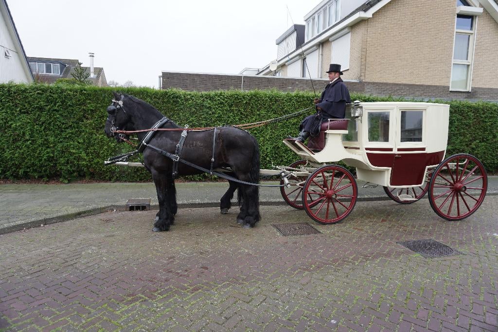 Te koop diverse koetsen,  arrenslede en koetslampen, Gebruikt, Overige typen, Paard, Gesloten