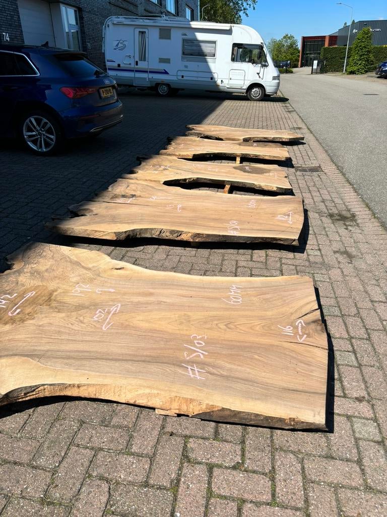 Notenhouten schaaldelen - Table slabs, Overige typen, Nieuw, Ophalen of Verzenden, 300 cm of meer