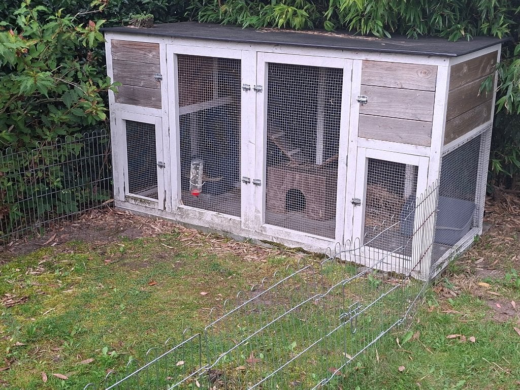 Konijnenhok voor twee konijnen (plus toebehoren), Dieren en Toebehoren, Ophalen, 90 cm of meer, Hok, Rat