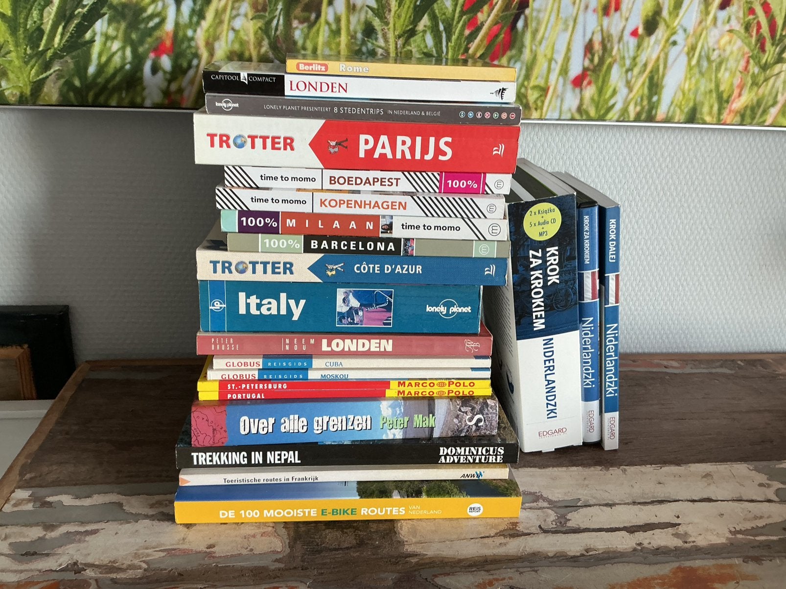 Reisgidsen vertaalgids, Boeken, Reisgidsen, Overige merken, Europa, Ophalen of Verzenden, Zo goed als nieuw