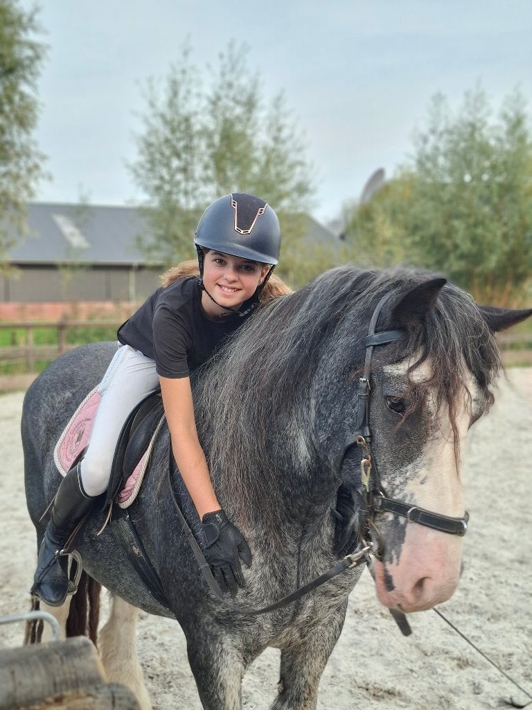 Bijrijder/leaser voor lieve tinker en/of shetlander gezocht, Ophalen of Verzenden, Nieuw, Overige typen