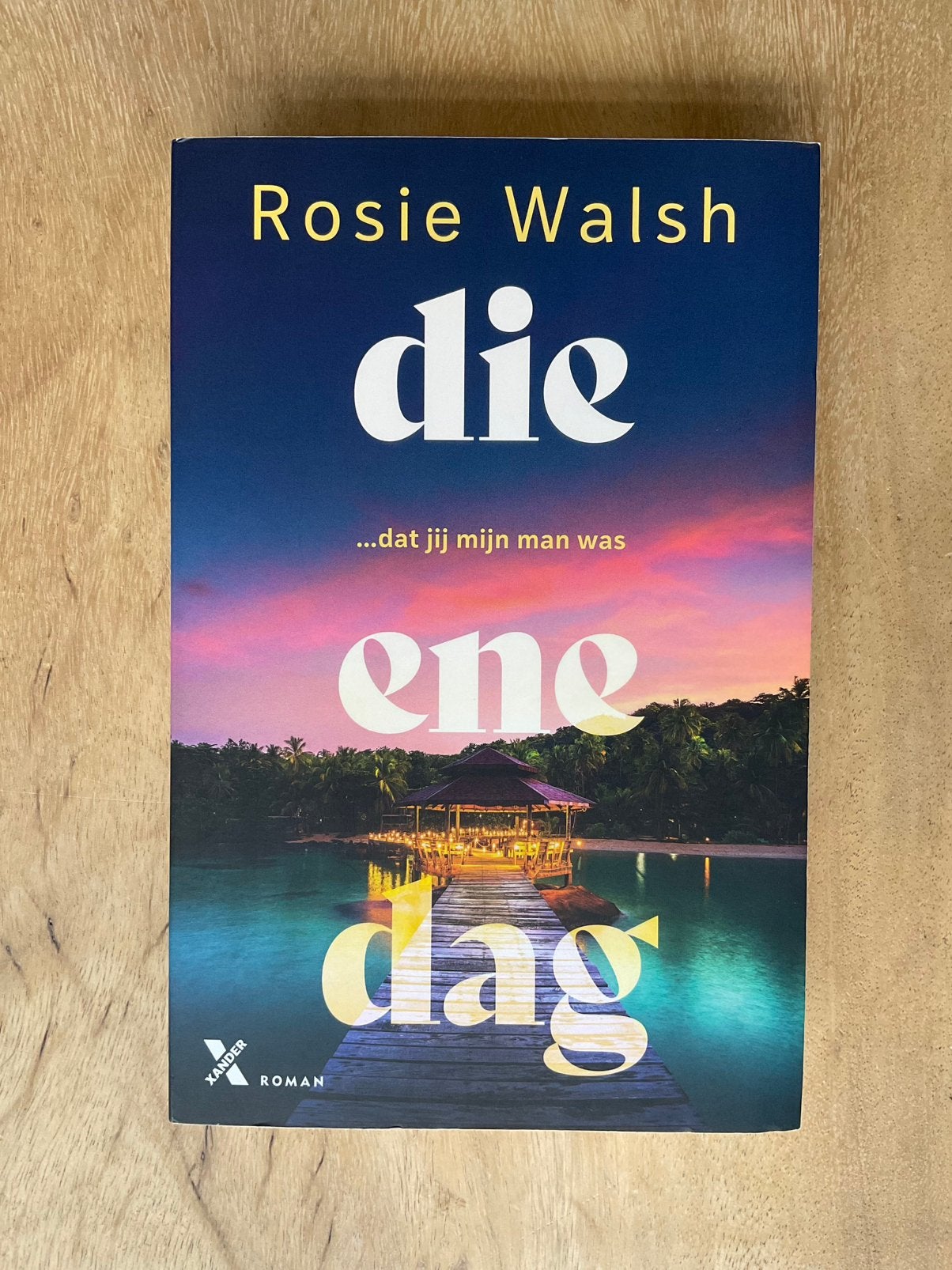 Die ene dag - Rosie Walsh, Boeken, Ophalen of Verzenden, Gelezen