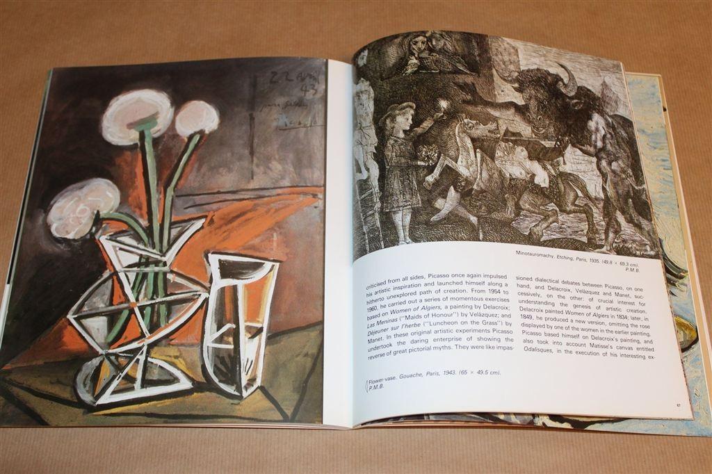 Picasso Museum Barcelona — Leven en Werk in Beeld, Ophalen of Verzenden, Gelezen
