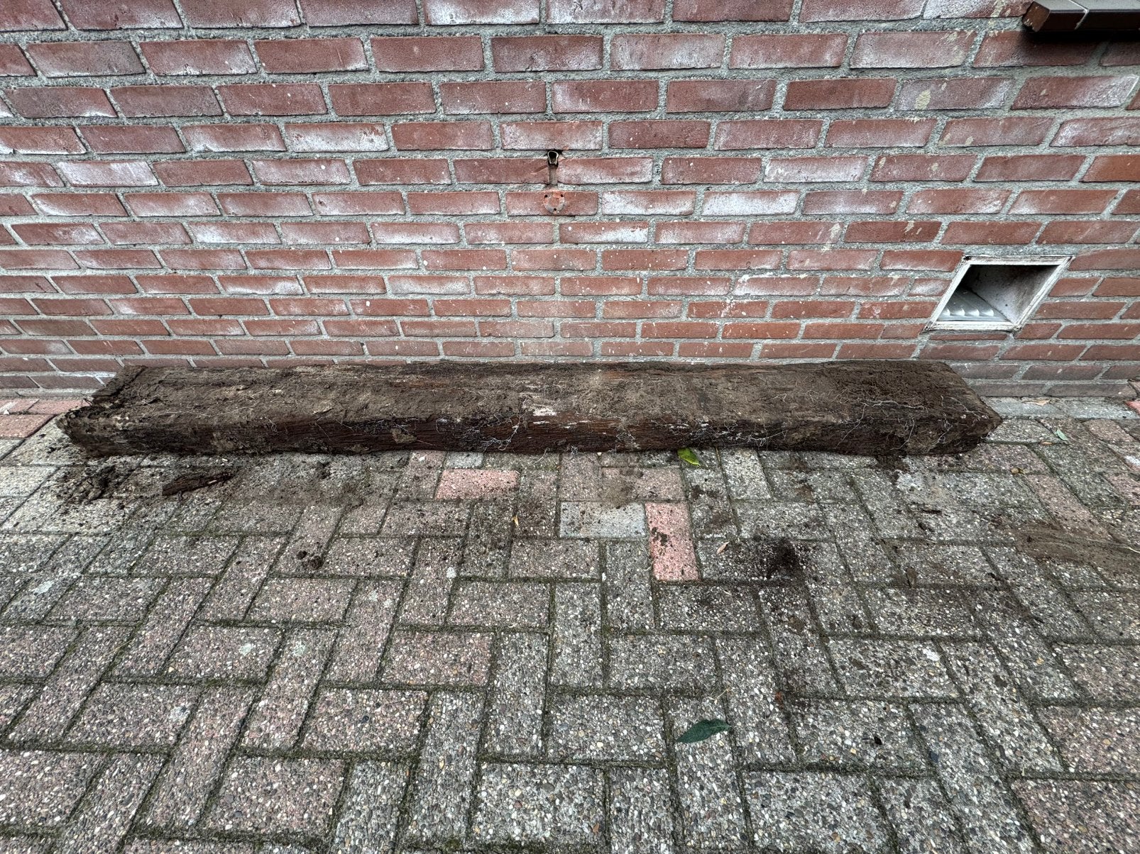 Gratis spoorbiels, Ophalen, Gebruikt, 100 tot 200 cm, Biels
