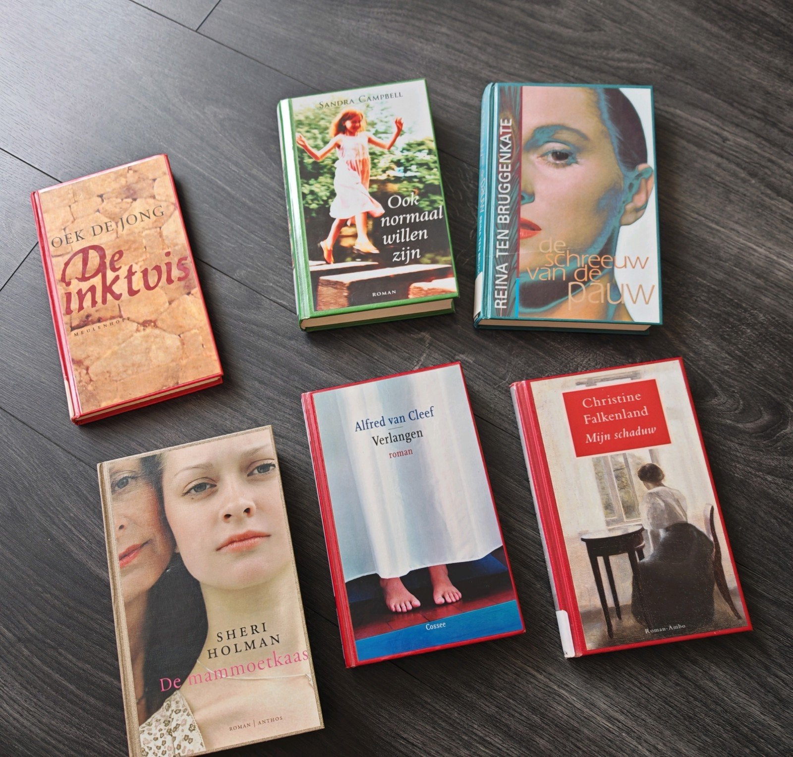 Nederlandstalige boeken, Ophalen of Verzenden, Gelezen, Nederland