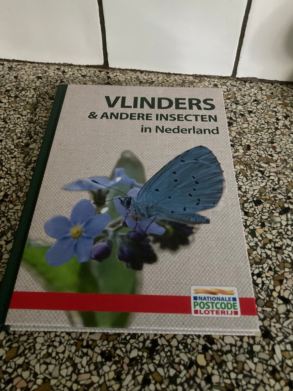 Boek vlinders, Ophalen of Verzenden, Zo goed als nieuw, Natuur algemeen