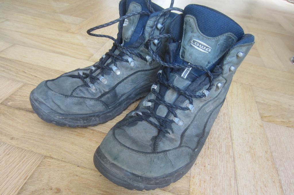 LOWA GTX bergschoen - maat 46,5, Ophalen of Verzenden, Gebruikt, Schoenen