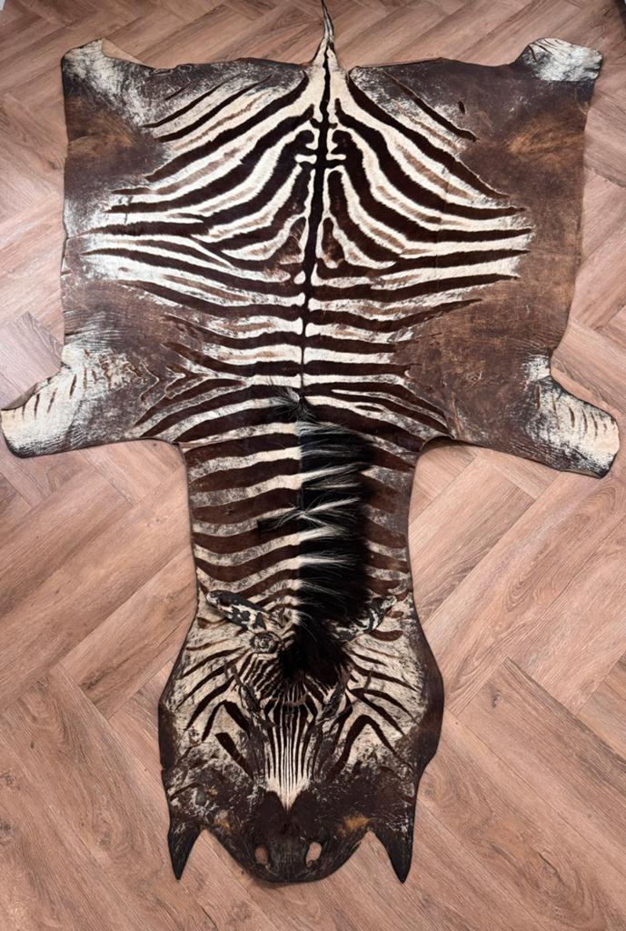 Uniek Zebrahuid Burchell 250 cm bij 160 cm, Ophalen