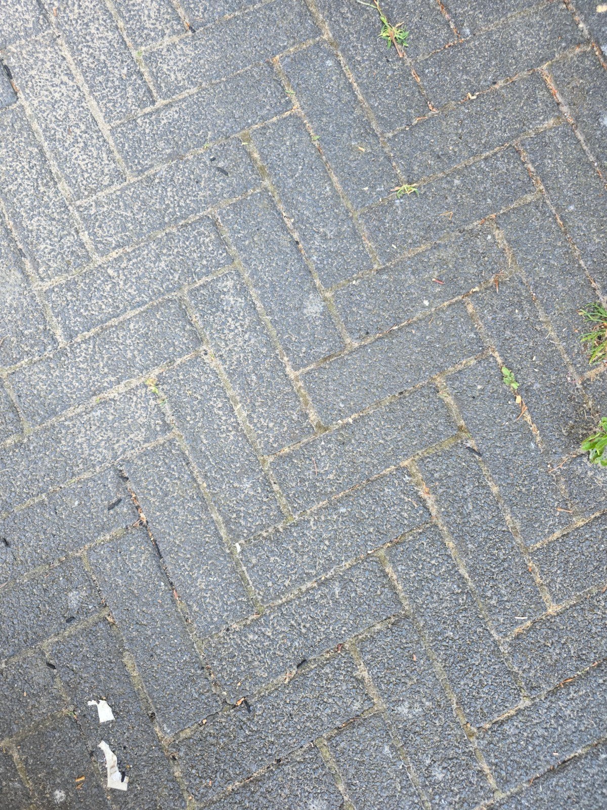 Gratis af te halen: 30m2 gebruikte betonnen klinkers, Tuin en Terras, Tegels en Klinkers, Ophalen, Gebruikt, Klinkers, 10 m² of meer