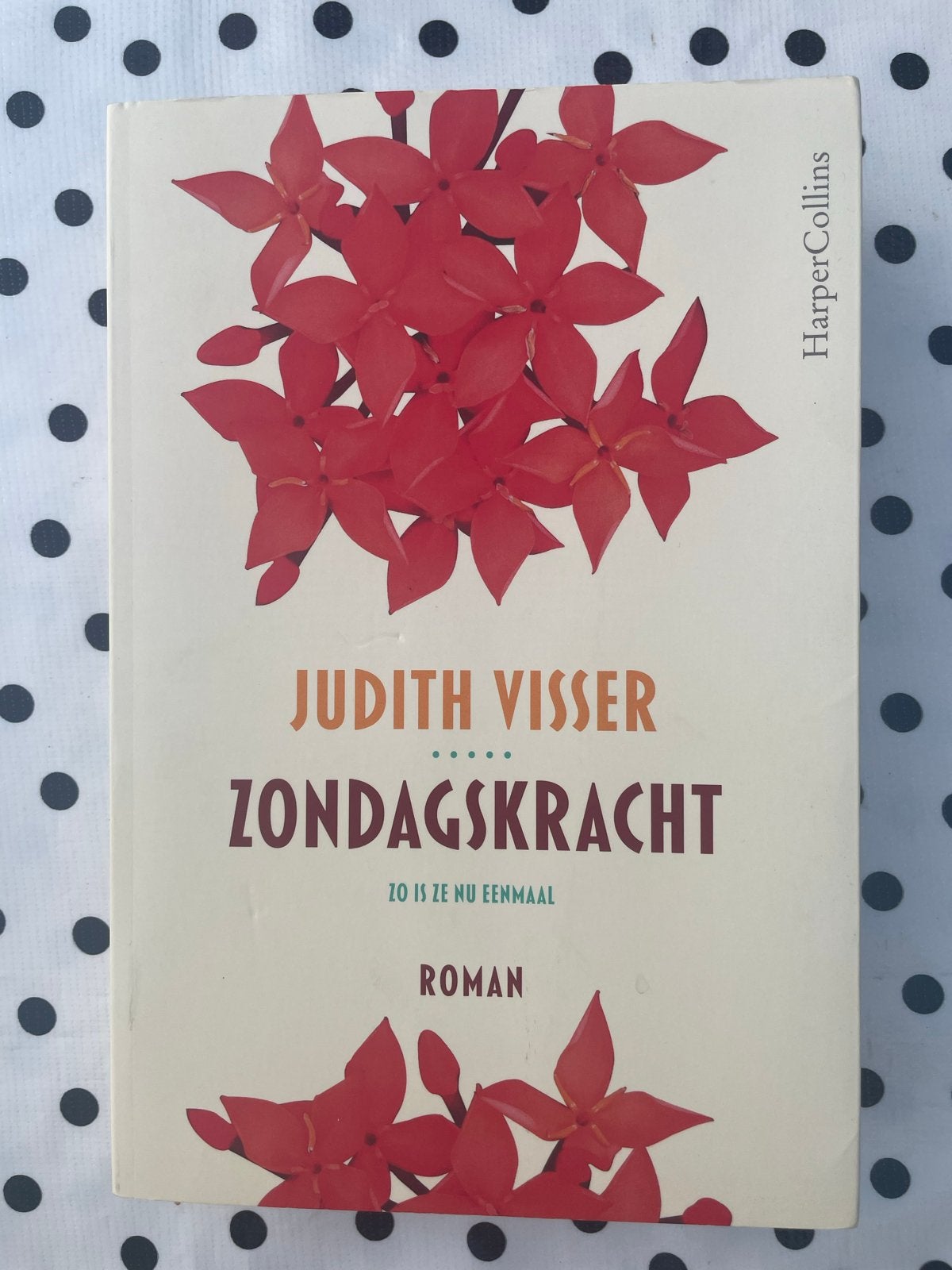 Judith Visser - Zondagskracht, Boeken, Ophalen, Zo goed als nieuw, Judith Visser