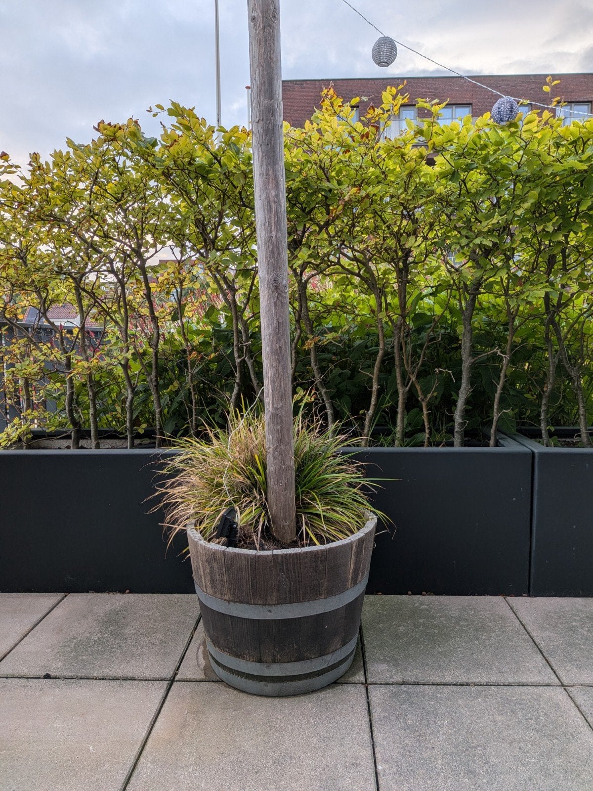 4 half eiken wijnvaten als plantenbakken (incl. aarde), Tuin en Terras, Ophalen, Gebruikt, Minder dan 60 cm, Rond