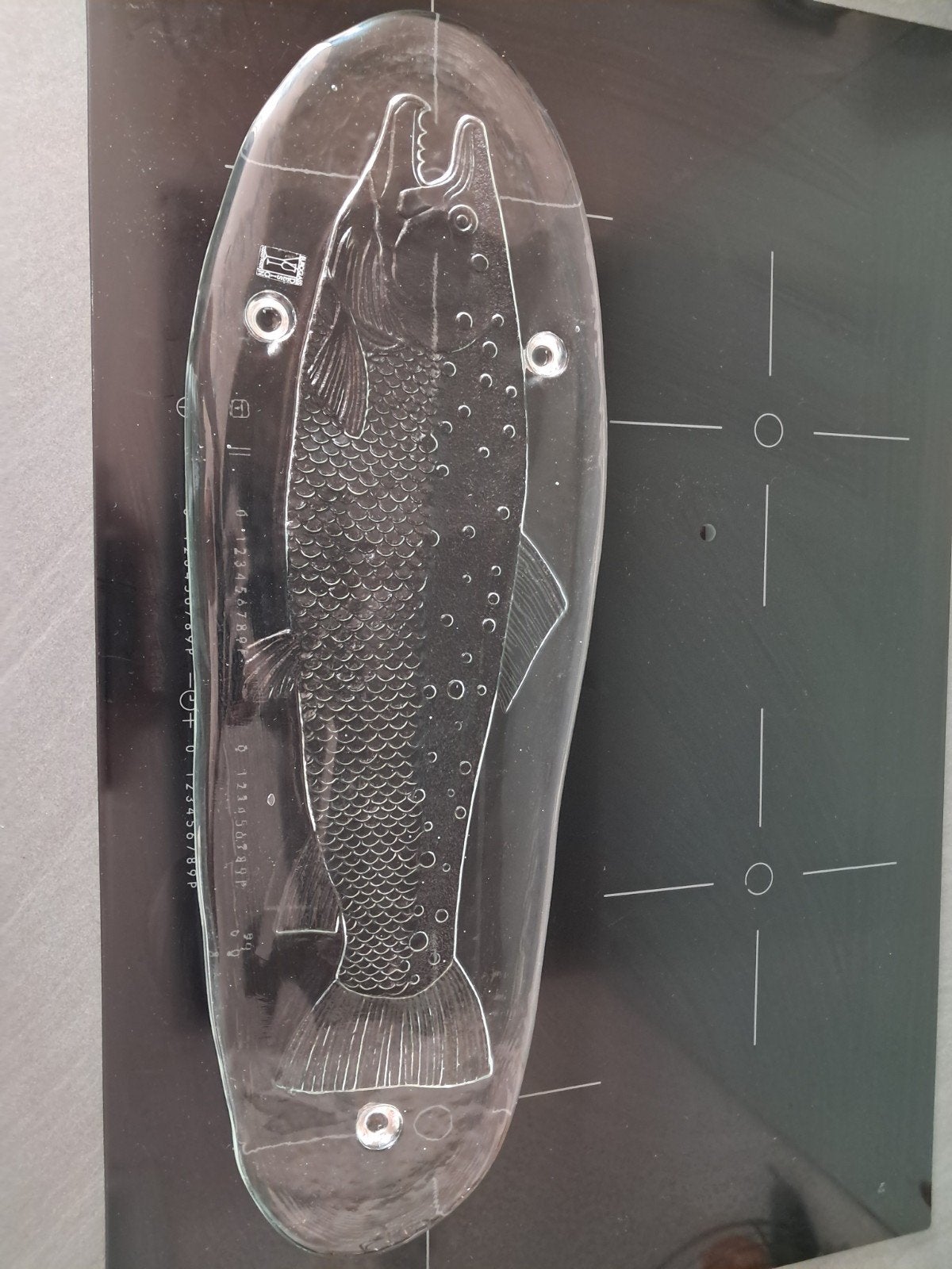 Glazen visschotel op voet - 62 cm lang, Ophalen