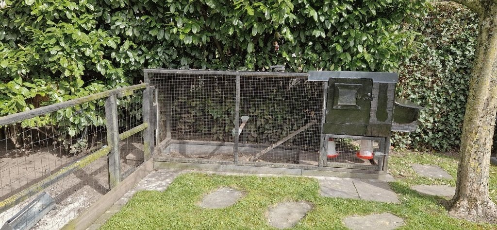 groot en stevig kippenhok, Ophalen, Gebruikt, Kippenhok of Kippenren