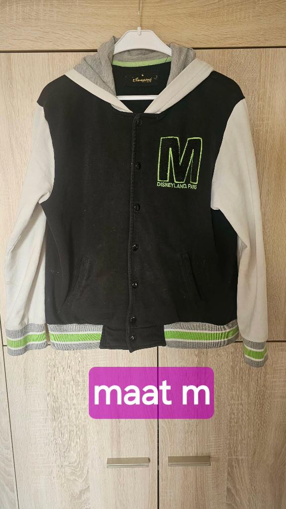 Disneyland Paris varsity hoodie vest, Maat 38/40 (M), Zwart, Ophalen of Verzenden, Onbekend