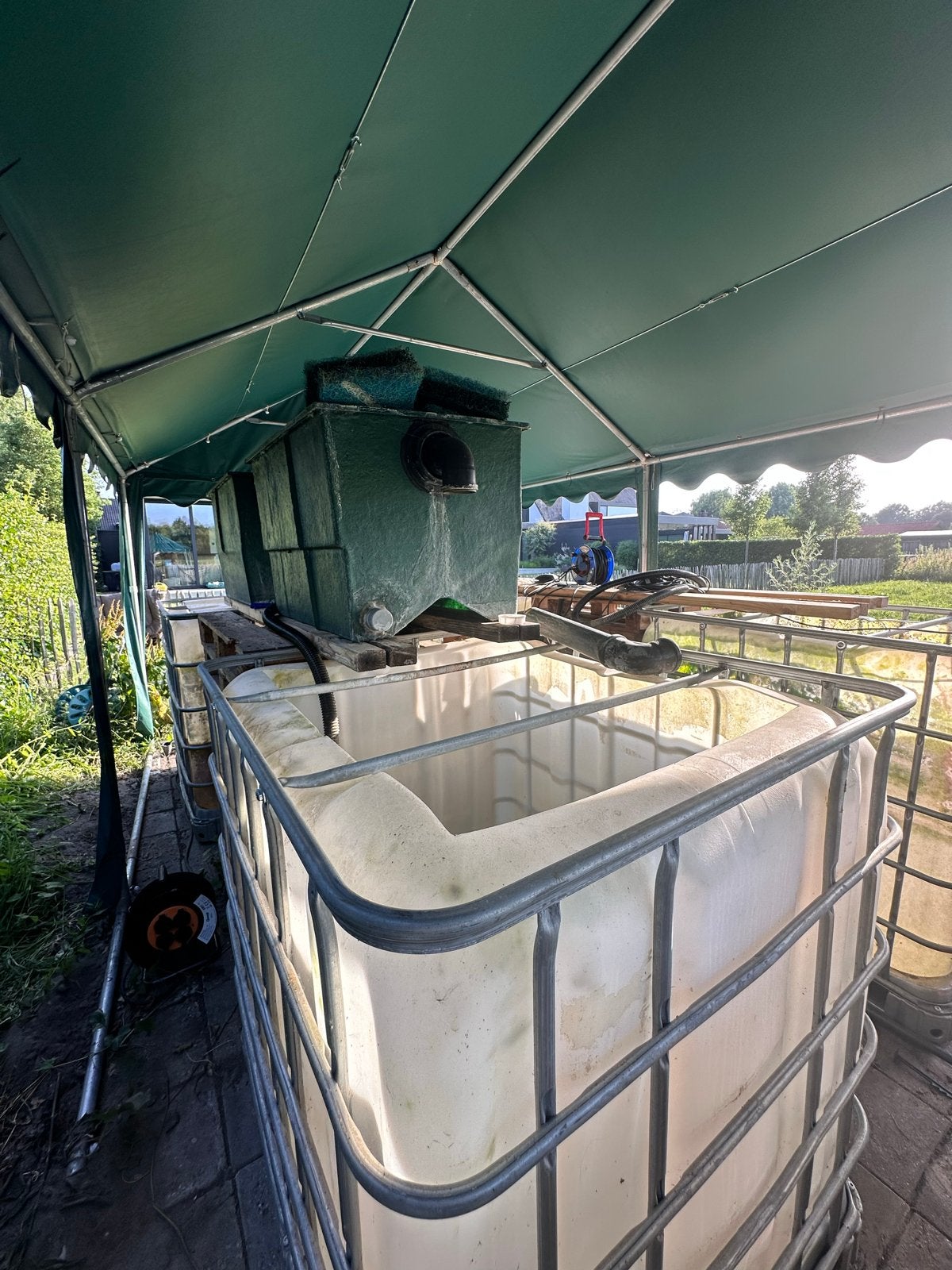 Complete koi karper tent met toebehoren en veel Koi, Karper of Koi