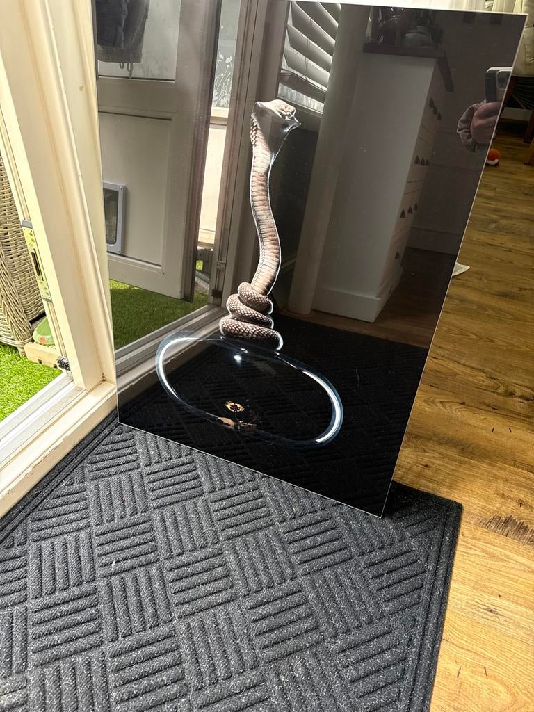 Glazen schilderij met cobra design, Witgoed en Apparatuur, Thuistaps, Zo goed als nieuw, Overige merken, Ophalen