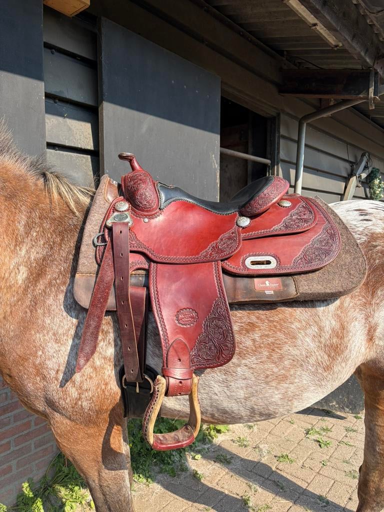 Billy Cook Pro Reiner westernzadel, Ophalen of Verzenden, Zo goed als nieuw, Western