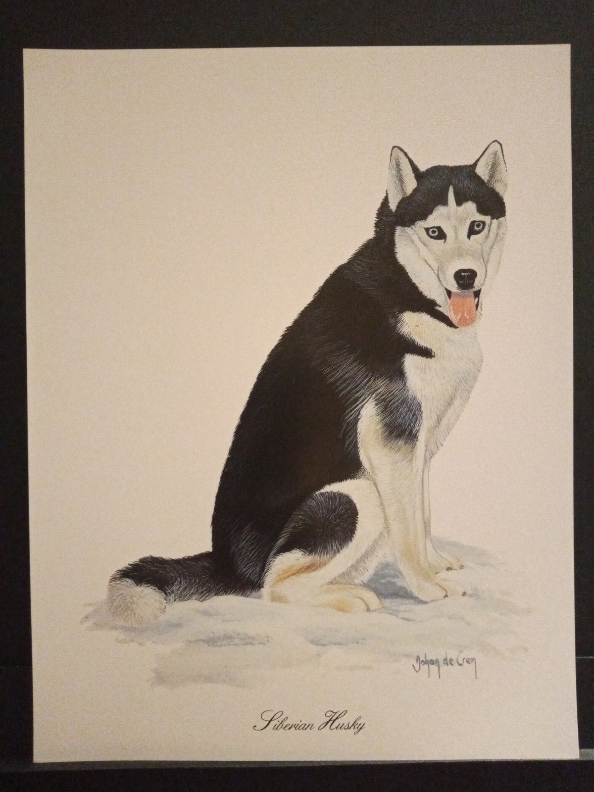 Siberian Husky - kunstprent - Johan de Crem tekenaar, Verzenden, 1980 tot heden, Zo goed als nieuw, Dier