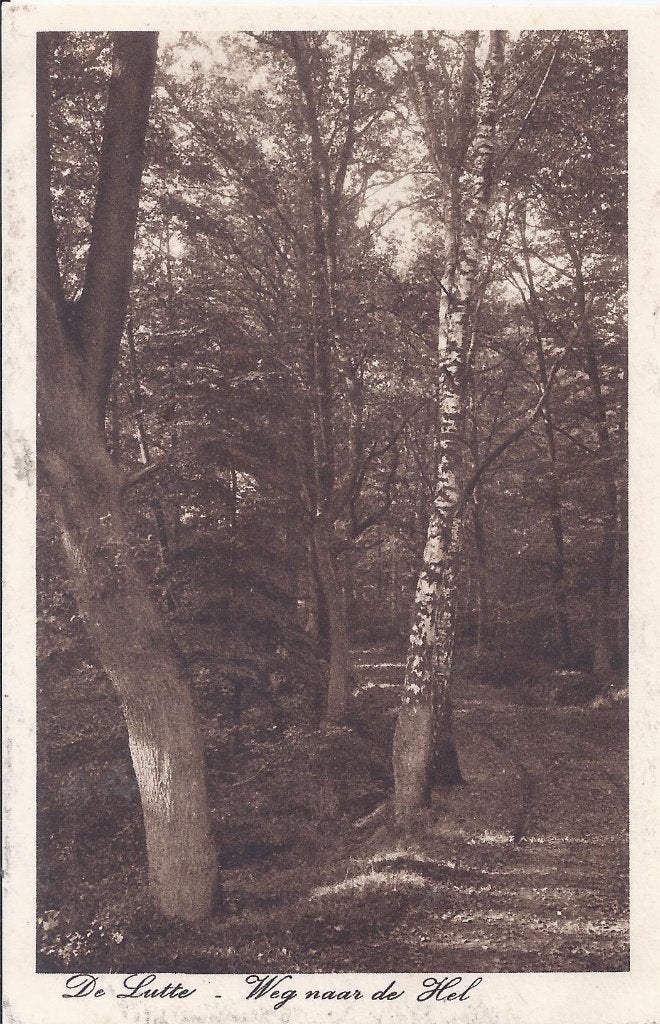 De Lutte weg naar de Hel - Oude ongelopen ansichtkaart B1049, Ophalen of Verzenden, 1920 tot 1940, Gelopen, Zuid-Holland
