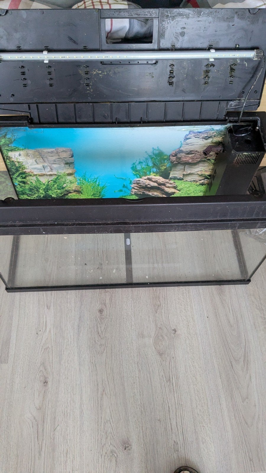 terrarium Juwel 80/38/45, Dieren en Toebehoren, Ophalen