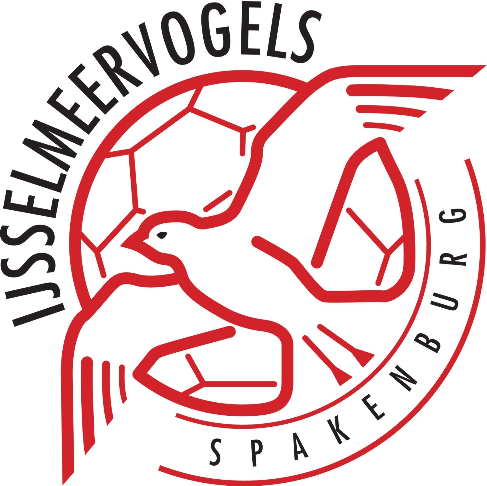 GEZOCHT: ( Retro of recent) IJsselmeervogels voetbalshirt, Ophalen of Verzenden, Zo goed als nieuw, Buitenlandse clubs, Shirt