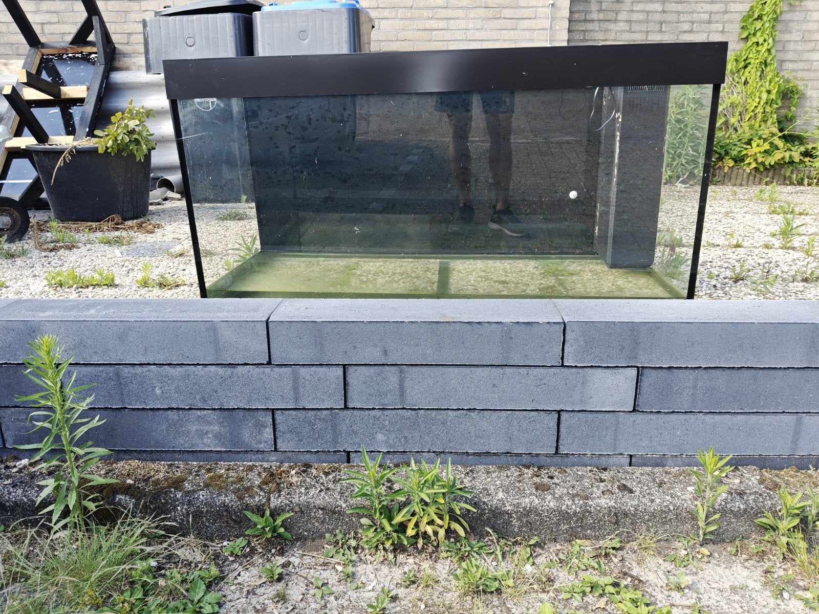 Juwel Rio 350L, Dieren en Toebehoren, Ophalen of Verzenden, Gebruikt, Leeg aquarium