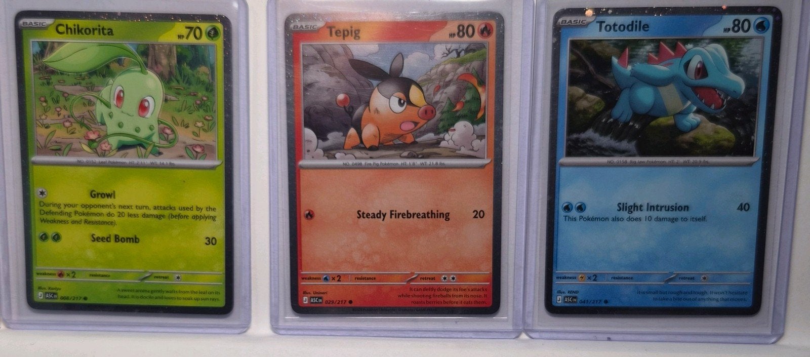 Pokémon Kaartenset: Tepig, Totodile, Chikorita Holo (Uitstek, Ophalen of Verzenden