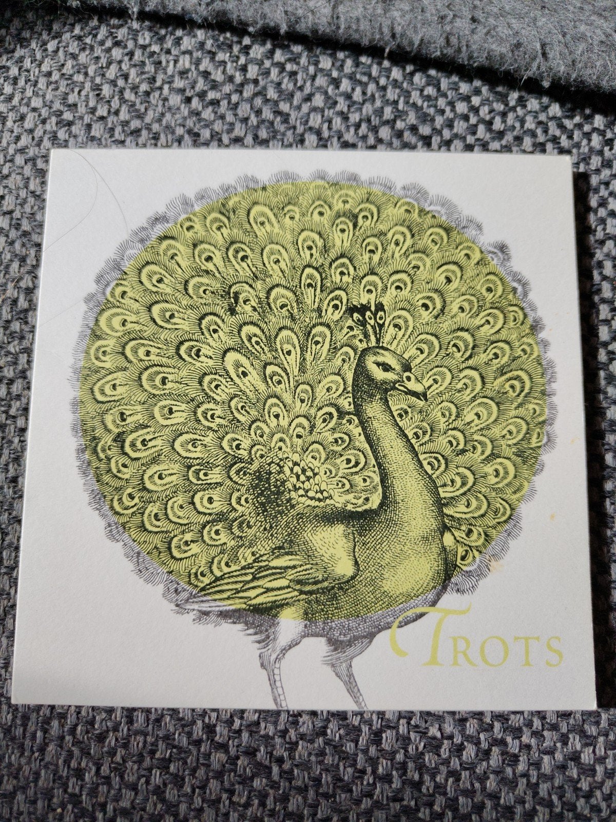 trots..., Ophalen of Verzenden, 2000 tot heden, Geboortekaartje