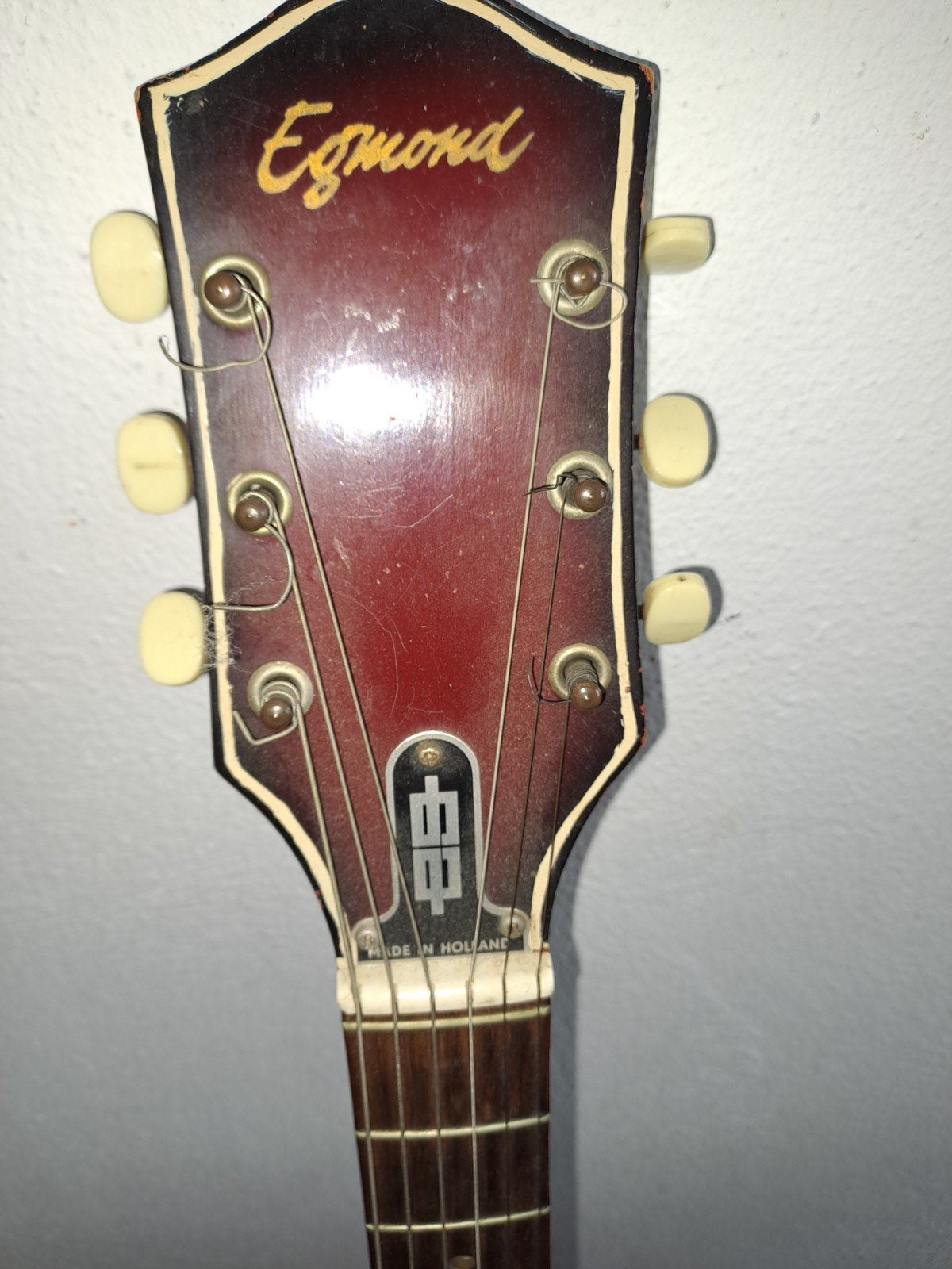 Gitaar Egmond, Ophalen, Gebruikt, Overige typen