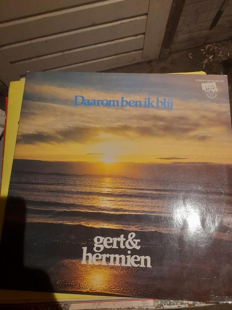 Gert en hermien, Ophalen of Verzenden, Zo goed als nieuw, Overige formaten, Levenslied of Smartlap