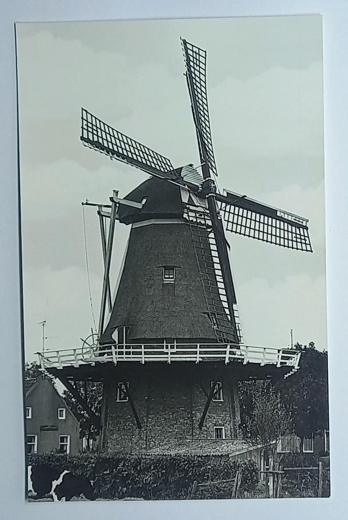 Thesinge - Groningen ( Gr.) Korenmolen Germania, Verzenden, 1980 tot heden, Ongelopen, Groningen