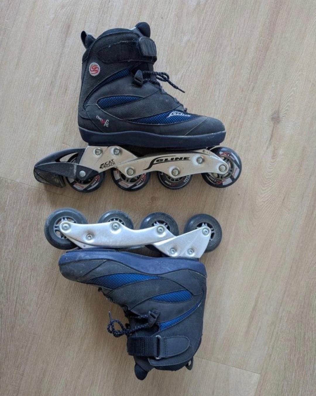Mooie Feline inline skates - maat 38, Overige merken, Dames, Ophalen of Verzenden, Zo goed als nieuw