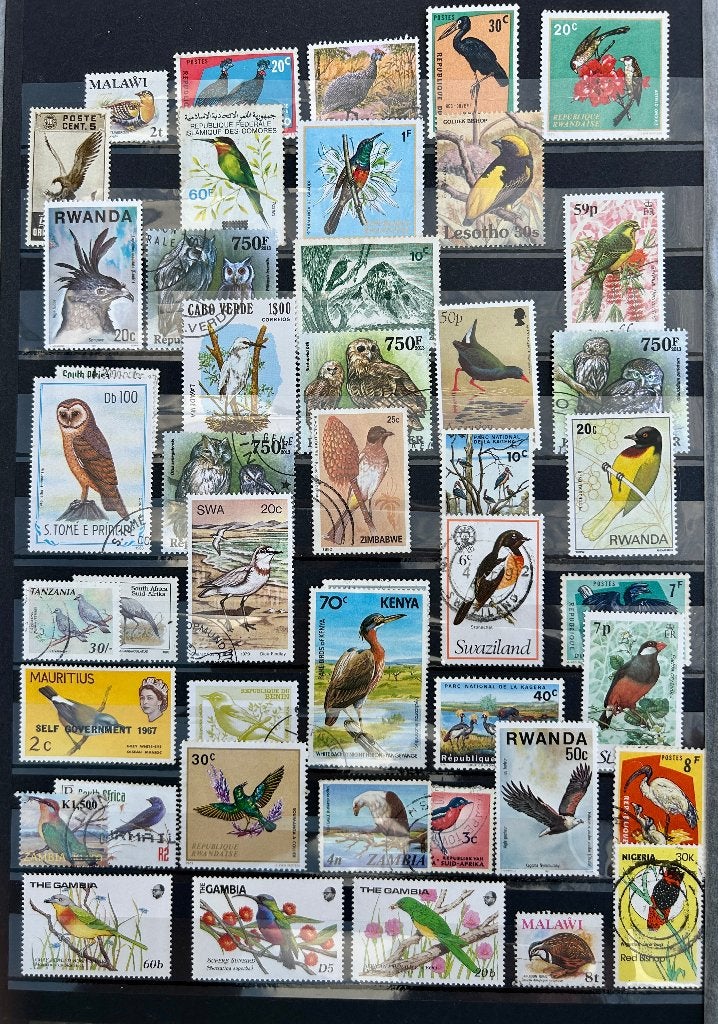 Restantje vogels Afrika, Verzenden, Dier of Natuur