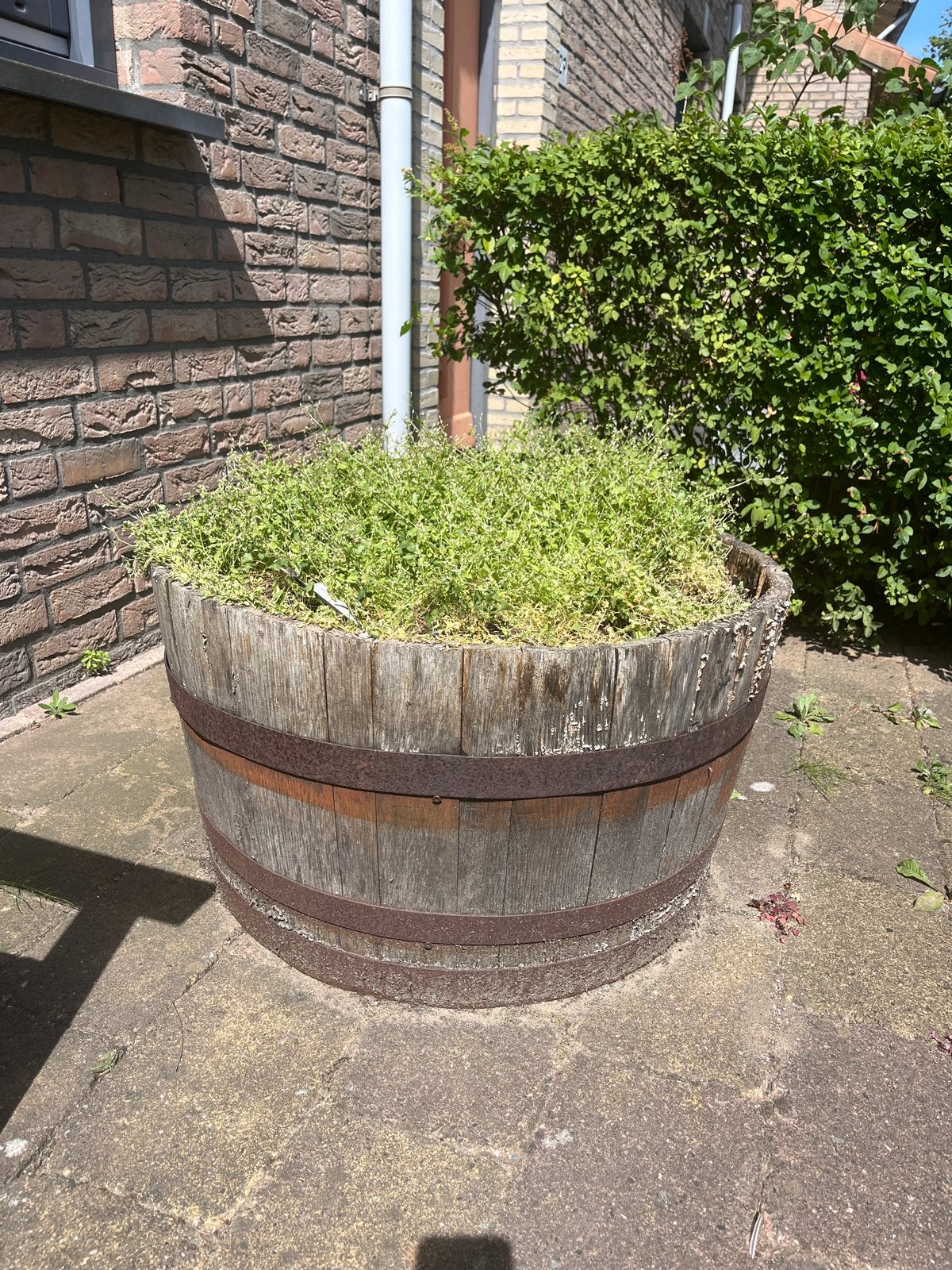 Wijnvat plantenbak - diameter 75 cm, 42 cm hoog, Tuin en Terras, Bloembakken en Plantenbakken, Ophalen, Gebruikt, Rond, 60 tot 100 cm