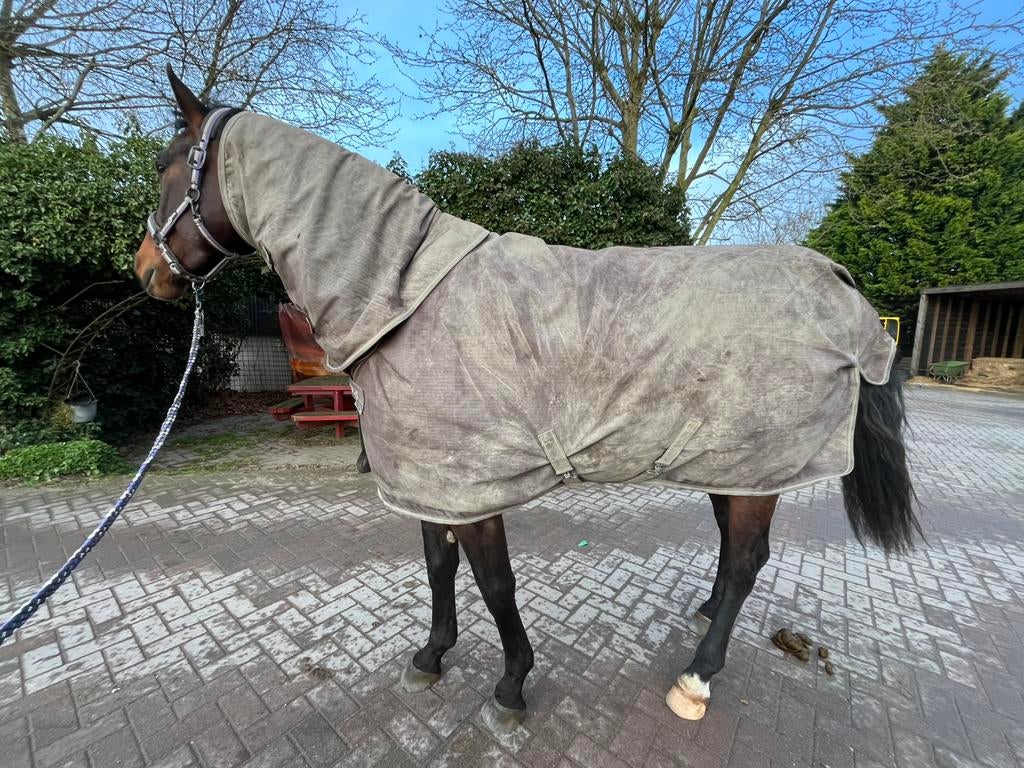 Bucas irish turnout Espresso, Dieren en Toebehoren, Ophalen of Verzenden, Gebruikt, Deken