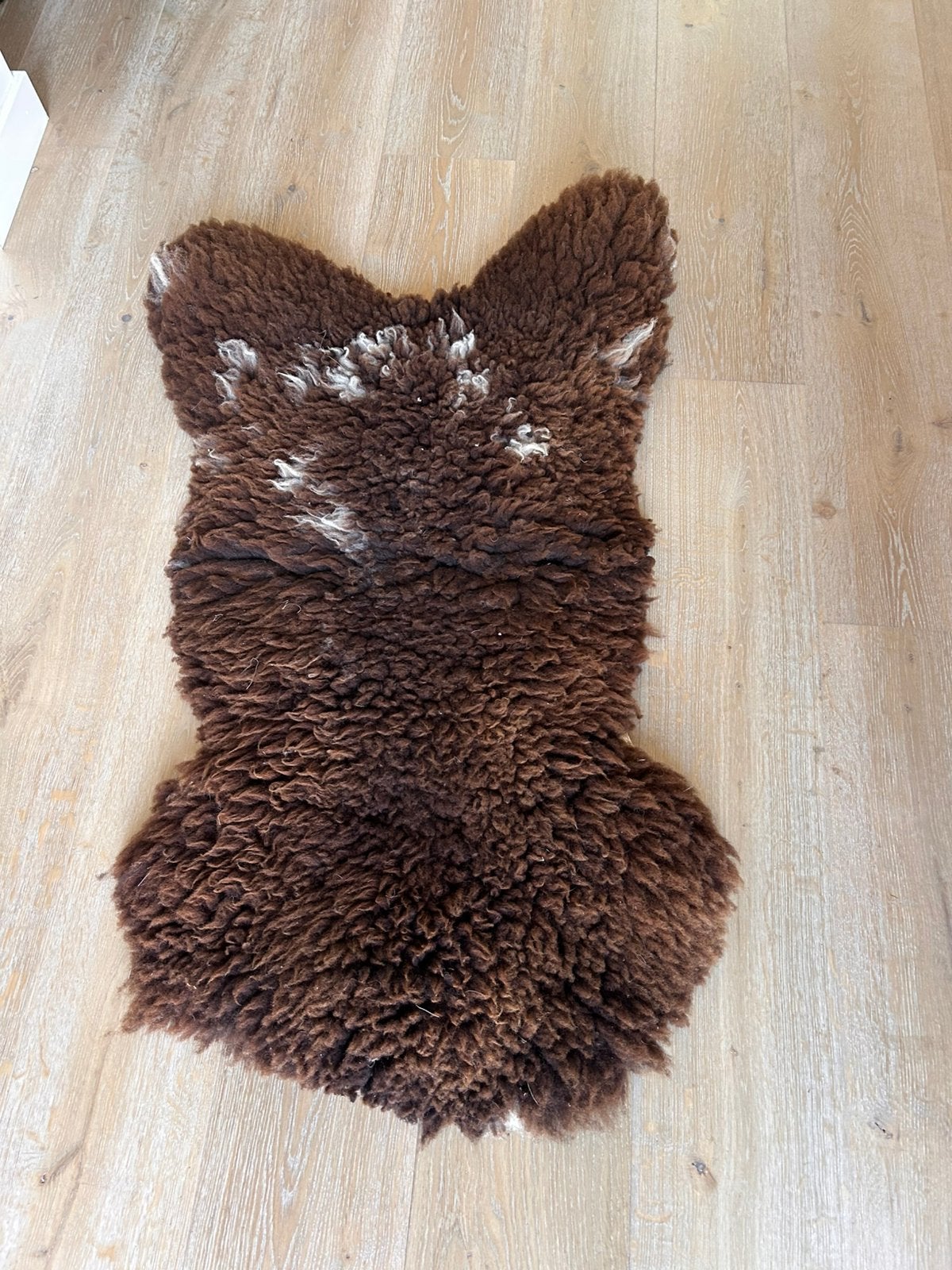 Vacht schaap, Ophalen, Gebruikt, 100 tot 150 cm, Bruin